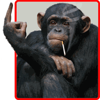 Image drole a telecharger gratuit Gratuiciel