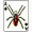 Zdjęcie Paciência Spider móvel