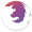 Zdjęcie Firefox Focus