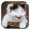 Zdjęcie Funny Cat Live Wallpaper