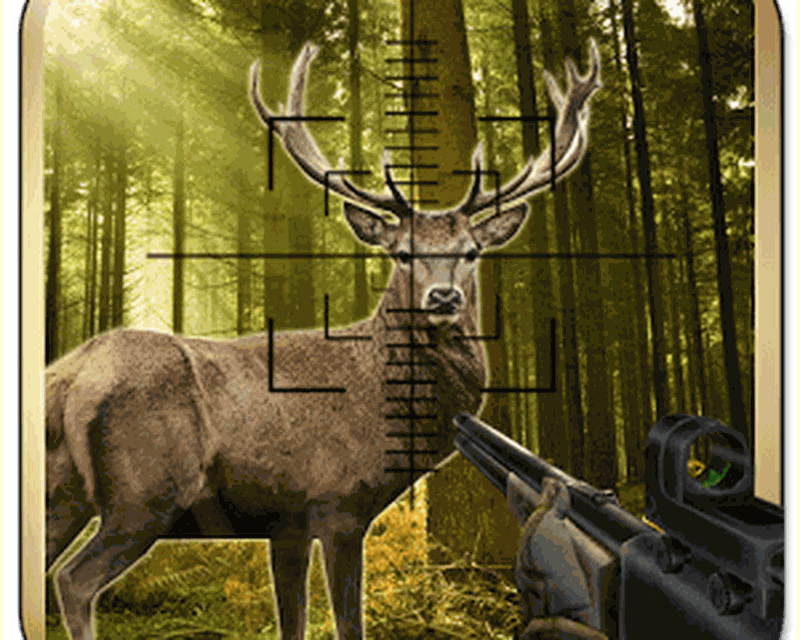 https://d1aerxztgm2uua.cloudfront.net/c8/e0/d0/32/imagen-deer-hunting-in-jungle-0big.jpg