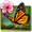 Imagem de Season Zen HD