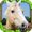 Imagen de Wild Horse Simulator